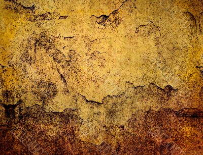 Detailed textured grunge background/frame