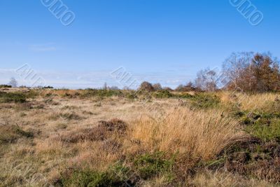 beautiful view of the landscape