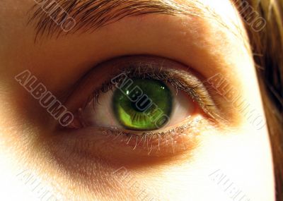 Green eye close up