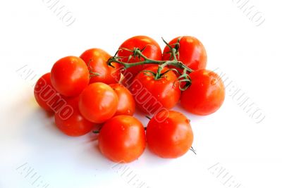 The family of tomatoes lies on a table.