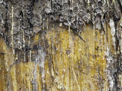 resin