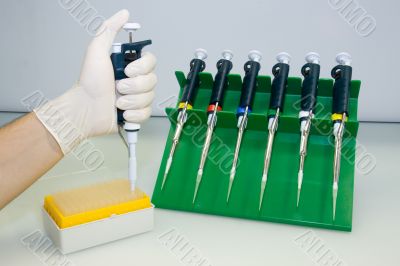 Working with a pipette