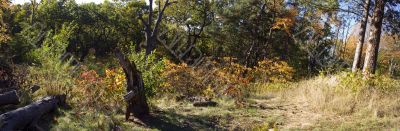 Autumn in the park 19