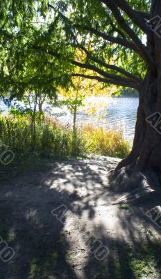 View of river shore 1
