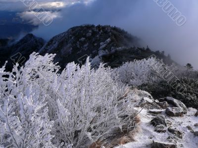 early winter mountains