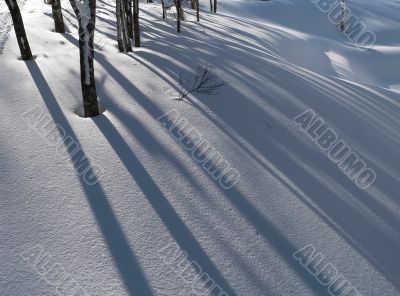 winter snow background