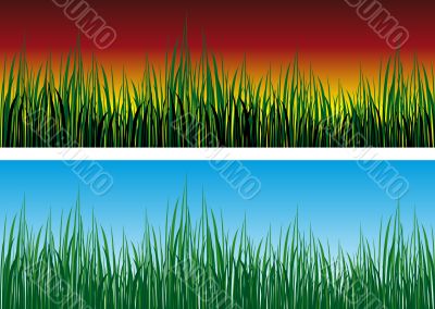 Grass