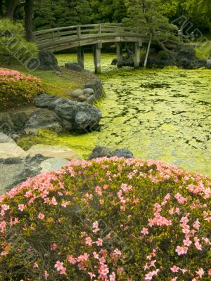 japanese garden
