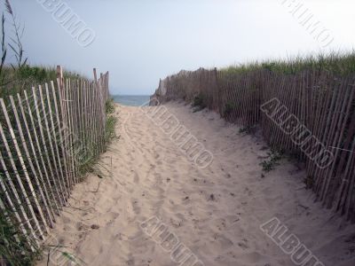 beach pathway