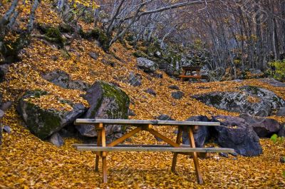 Autumn