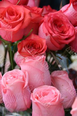 Few purple pink rose flowers bouquet