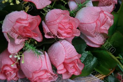 Few purple pink rose flowers bouquet