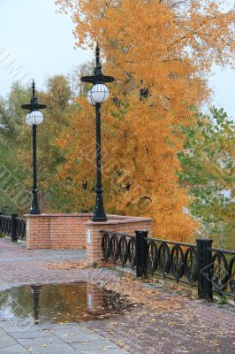 Autumn yellow alley