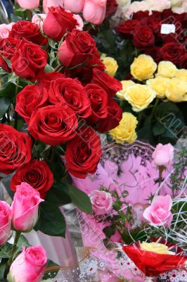 vivid varisorted multicolored flowers background