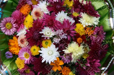vivid varisorted multicolored flowers background