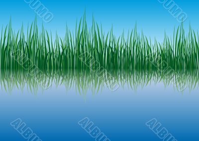 Grass waterside