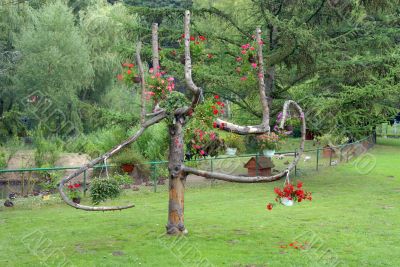 flowers on tree