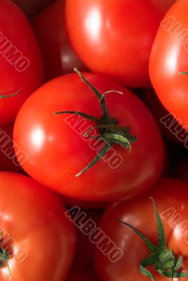 tomatoes