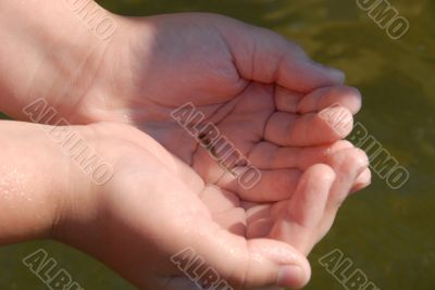 very young and little fish