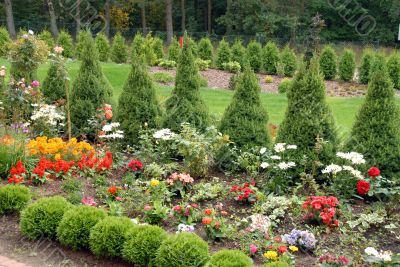 flowers and trees