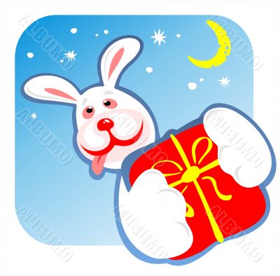 cheerful rabbit and gift