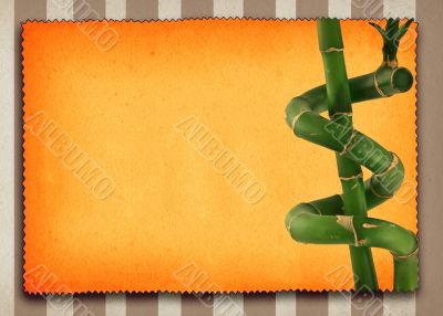 lucky bamboo background