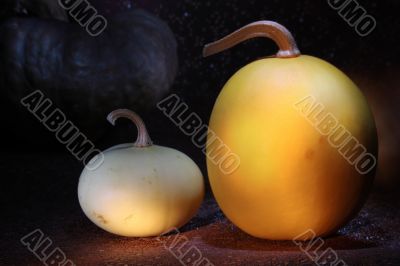 decorative pumpkins