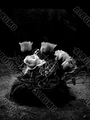 Plastic Flowers