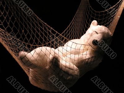 Pole Bear