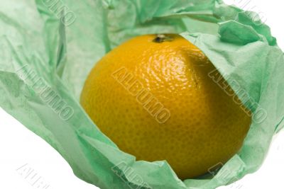 Christmas Orange