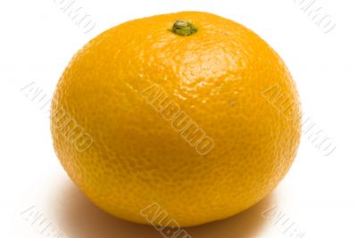 Christmas Orange