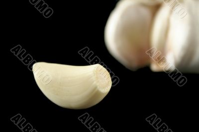 Fresh Garlic 4
