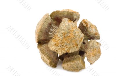 pine cone on white