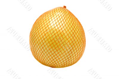 pomelo