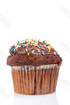 Muffin with chocolate