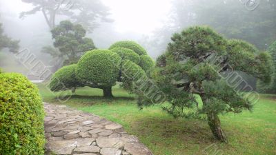 japanese park in summer