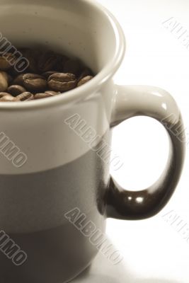 Cup of Coffee