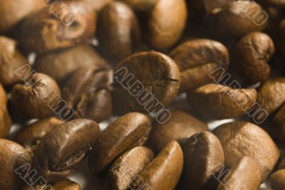 Coffee Background