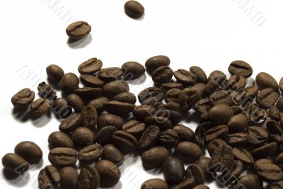Scattered Coffee Beans