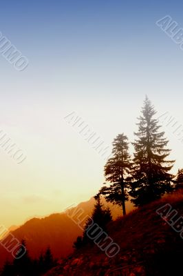 Green hill with blue sky