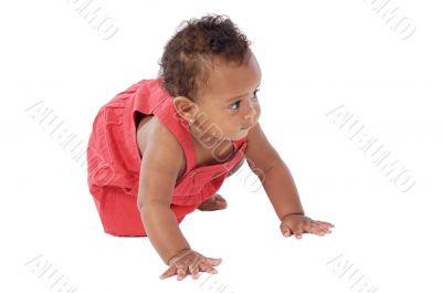 Adorable baby crawling