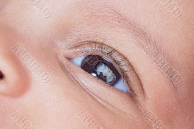 Baby brown eye
