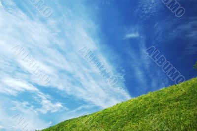 The Hill