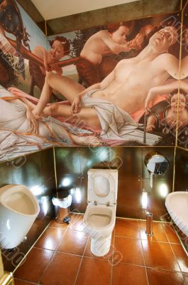 beautiful toilet