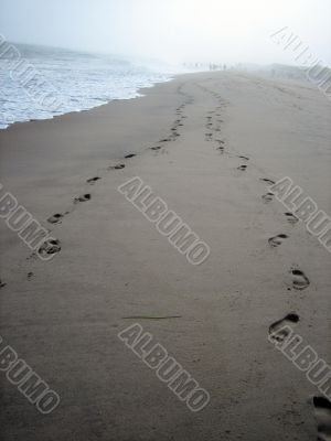 footprints on the beach