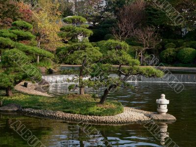 japanese pond