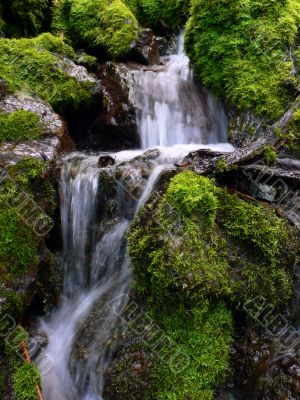 fresh water cascade