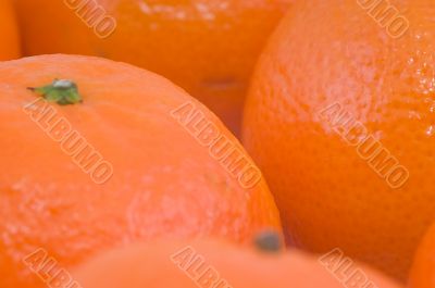 Ripe fresh tangerines