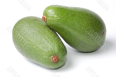 Avocado