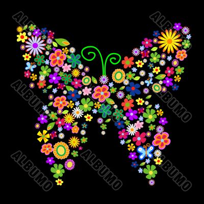 spring flower butterfly